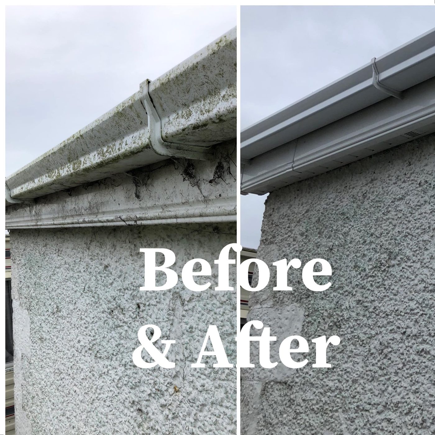 Before and after of algae-stained guttering and fascia on a pebble-dash house